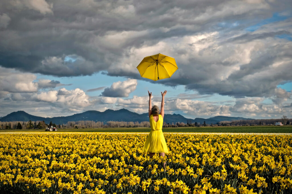 Global Insurers, Reinsurers and captives